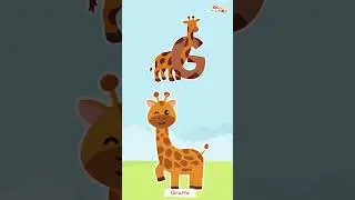 G for Giraffe Animal Phonics Song Learn the ABCs Kids Alphabet Songs   #kidpidtoons #learnalphabets