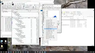 02 Data pre processing in FlowJo