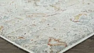 Tehran Multi Color Rug 461