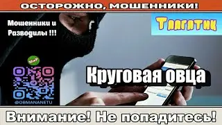 Мошенники звонят по телефону / Круговая овца ( сборник ).