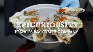Tomales Bay Oyster Company: Farm-to-Table Freshness - Artisanal Food Masters – Epicurious