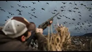 PNW 10 MAN MIXED BAG DUCK HUNT! LIMIT IN 45 MINUTES + EURASIAN WIGEON!