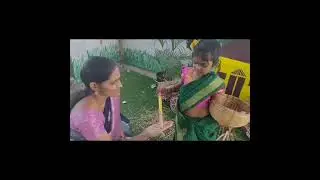 Sankranti celebrations.