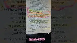 Isaiah 43:19 #bibleverse #Godisdoinganewthing