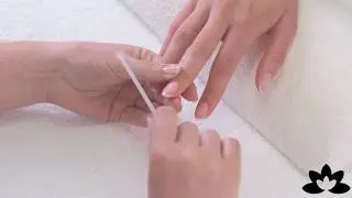 How To Use: TRIND Glass File