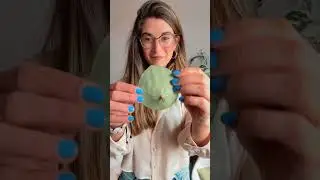 Propagaci&oacute;n por hoja - Peperomia 1/3