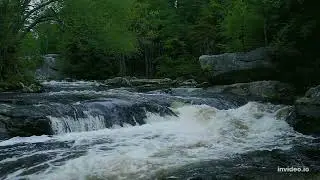 Watch the current! || Nature sounds, isolated forest with strong current river