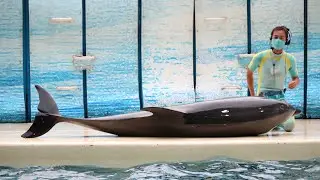 2021.10.31 ニコナイト / 新江ノ島水族館