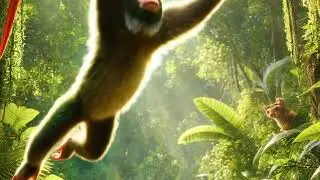 Crazy monkey story 😲😲😲😲😲