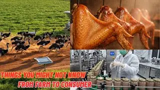 Things You Might Not Know: From Farm to Consumer