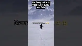 Penguin , not broken , just Quitely Tired