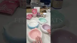 ASMR feed my cats with me