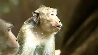 Crying lost horrible/Mom Karita crying by horrible because lost her baby come back baby
