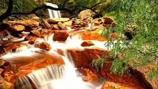 Relaxing Waterfall Sounds, Relaxing Nature Sounds, Peaceful And Ambient Water Sounds.