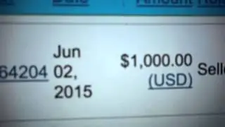 ▓▒░  Domainer Elite Review - $1000 when you inserted $9.00 - domainer elite review.mp4