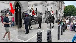 Unbelievable!! ❌ Few Horses Spooked, Lady in Pink Tries to Enter the Sentry Box, Police Stops Her!!