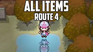 EVERY Item Location in Route 4 - Pok&eacute;mon Black & White