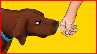 Scientists Confirm Dogs Can Recognize Bad People
