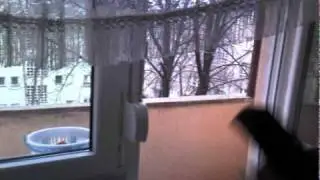 Fuck You Rain !