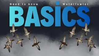 Waterfowl basics - How to&rsquo;s for the easy stuff