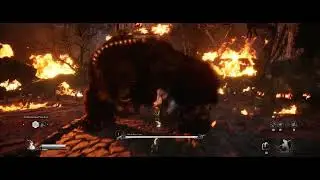 Black Myth Wukong  Defeating Black Bear Guai
