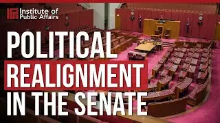 Is there an Australian &lsquo;Reform UK&rsquo; movement developing in the Senate | The Mainstream