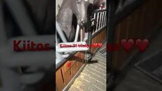 Kiitos❤️