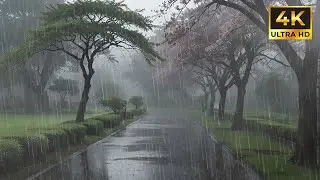 Deep Relaxing Rain Sounds to Fall Asleep Fast and Beat Insomnia for Calm, Restful Night Sleep
