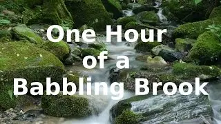 1 Hour of a Babbling Brook 💦 Sleep Sounds