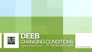deeB - Changing Conditions (ft. The Golden Cobra) (NOH Life 2021)
