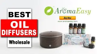 Wholesale Diffusers Mini Essential Oil Diffuser X136A