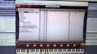 Miroslav Philharmonik 2 | quick sound check