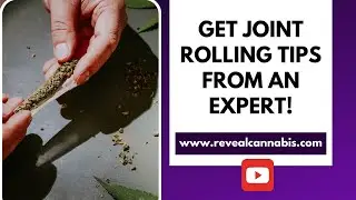 Joint Rolling Tips from an Expert - Jeff Gardner