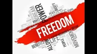 Freedom official video (don't hate the people)