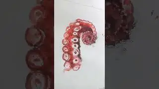 Draw tentacle | sashimi | Watercolor | octopus