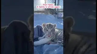 A Mother&rsquo;s Roar Changed Everything