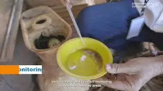 Brazil eliminates lymphatic filariasis as a public health problem