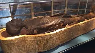 facsimilie of the burial chamber of the pharaoh Tuthmose III Tour Bolton Central Library Museum