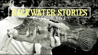Catching My First Rainbow Bass In Costa Rica: BACKWATER STORIES EP5