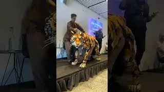 | Tiger in front of Audience | Puppet Movement #tiger #puppets