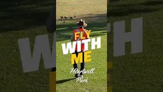 Heartwell Park #drone #flywithme #cinematic #dronelife #aerialphotography #heartwellpark
