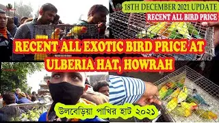 ULBERIA BIRD MARKET HOWRAH | RECENT BIRD PRICE AT AT ULBERIA PET MARKET | 18TH DECEMBER 2021 VISIT