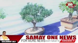 BMC & Tree Authority in collaboration with the Consulate-General of Japan organized Bonsai & Origami