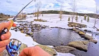 Urban Fishing a TINY RIVER!?