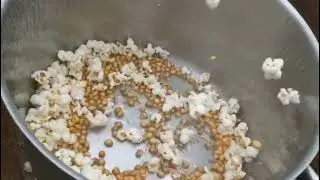 My Dogs Love Popcorn (PLEASE NOTE: NO DOG TONGUES WERE BURNT WHILST MAKING THIS)