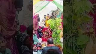 Sadi git desi #oppogiare #funny #partymusic #song #song #comedy #partysongs #sorts