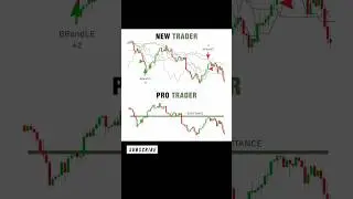New Trader vs Pro Trader | Trading Psychology & Strategy Explained