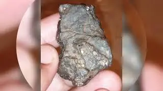 نيزك مريخي m&eacute;t&eacute;orite martienne NWA 7533