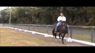 How to Develop a Smooth, Relaxed Canter, Part II