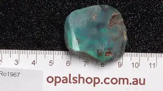Ro1967 - Rubbed opal Single from Lightning Ridge, Australia